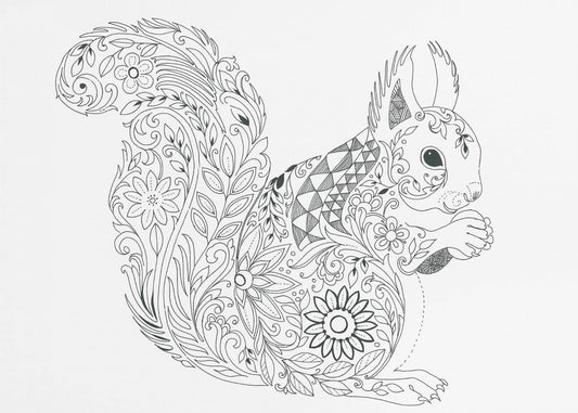 Ornate Squirrel Design | Canvas
