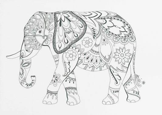 Elephant Mandala | Canvas