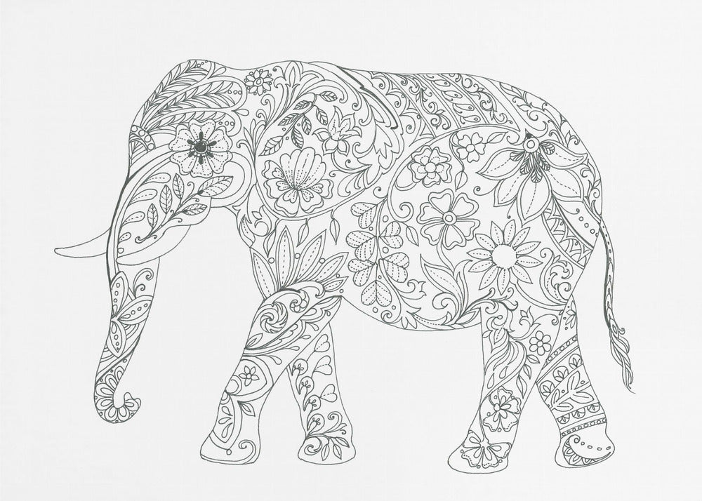 Floral Elephant | Poster