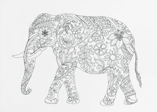 Floral Elephant | Canvas