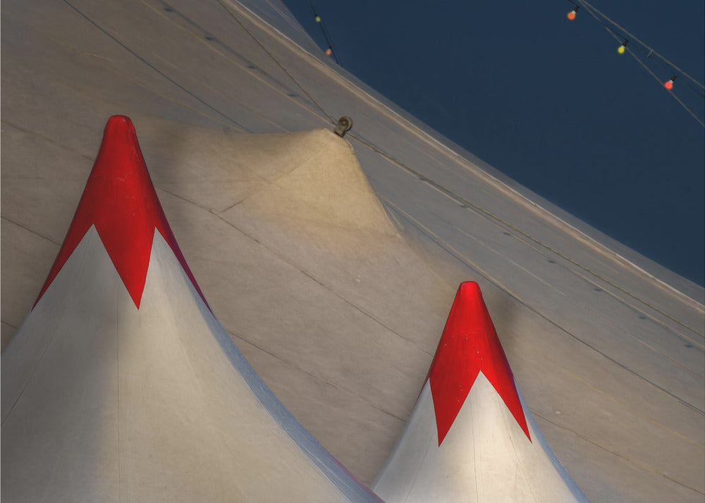 Circus roof | Poster