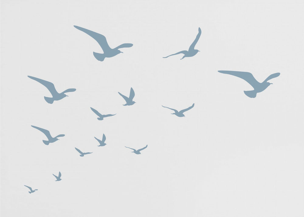Seagulls White Background | Canvas