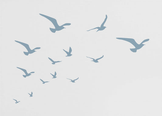 Seagulls White Background | Canvas