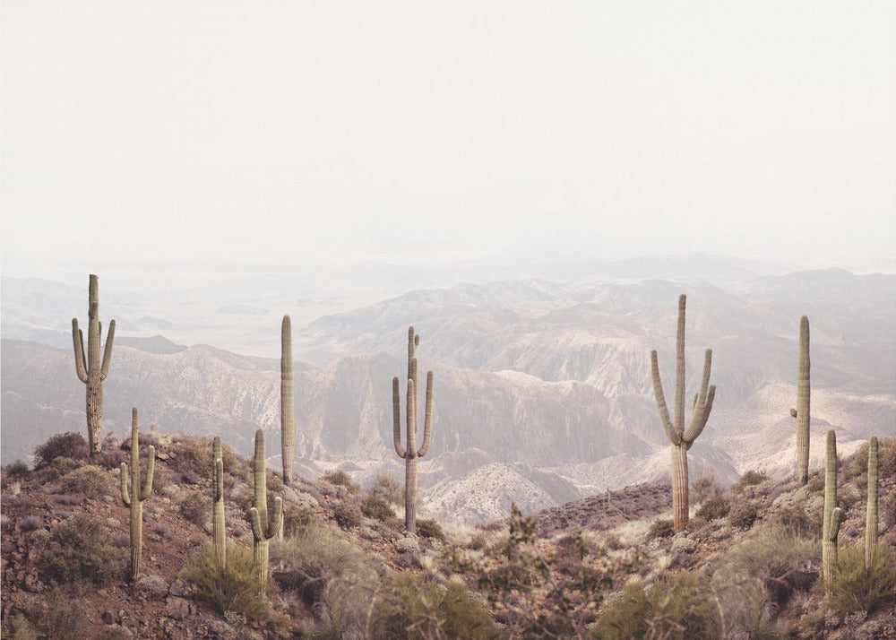 Arizona Valley | Poster