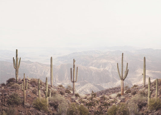Arizona Valley | Canvas