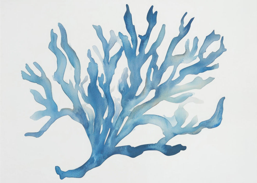 Blue Coral | Poster