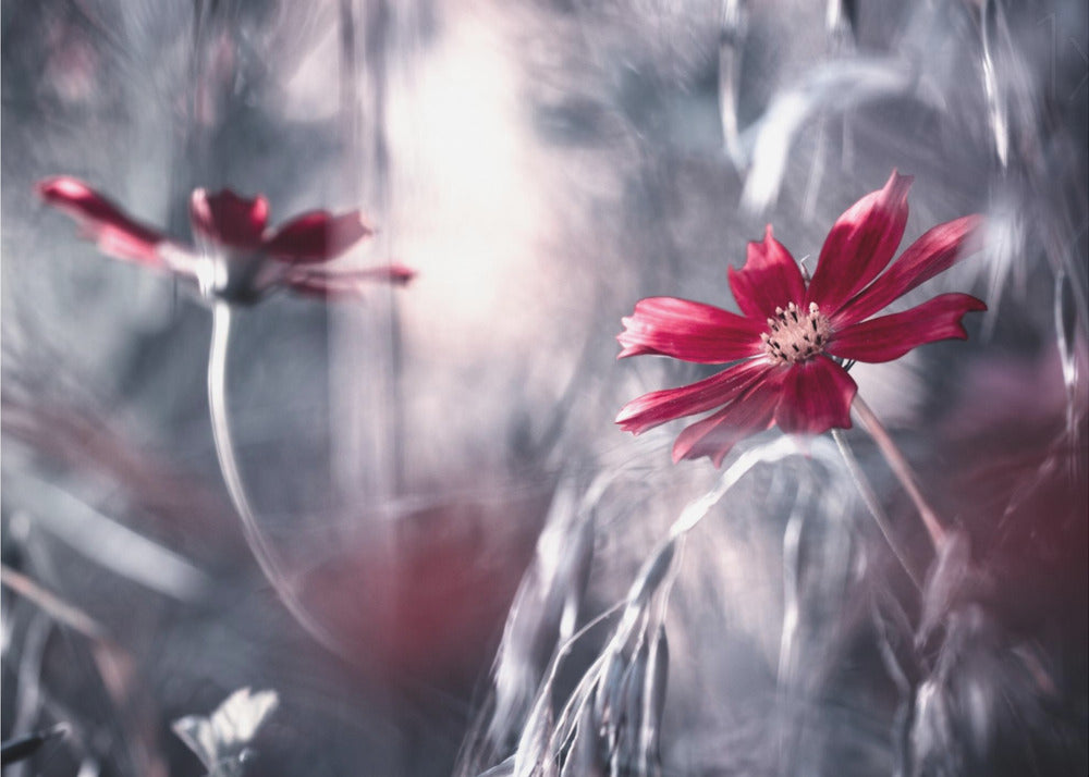 Seduction games | Wallpaper