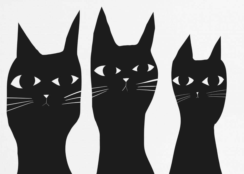 Three black cats peeking cat | Poster