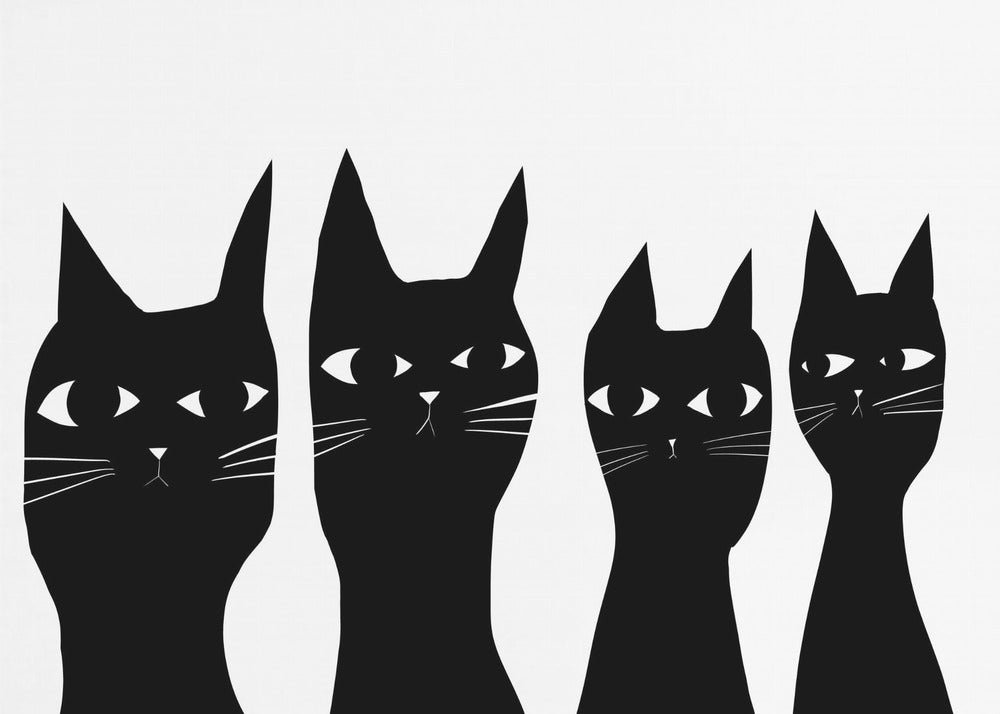 Four black cats | Poster