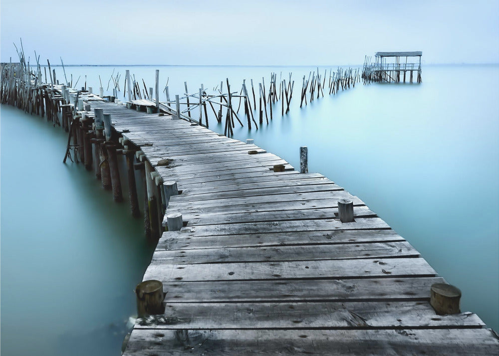 Carrasqueira II | Canvas