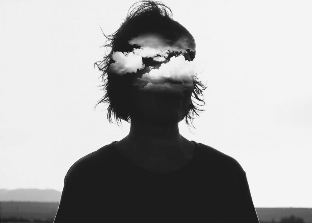 Emanzanera Portrait Of An Absence | Canvas