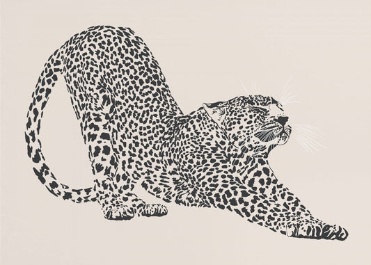 Cheetah | Poster