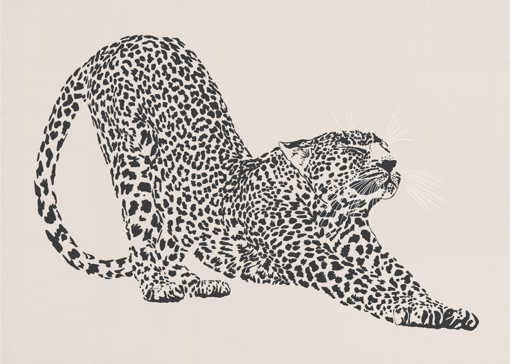 Cheetah | Canvas