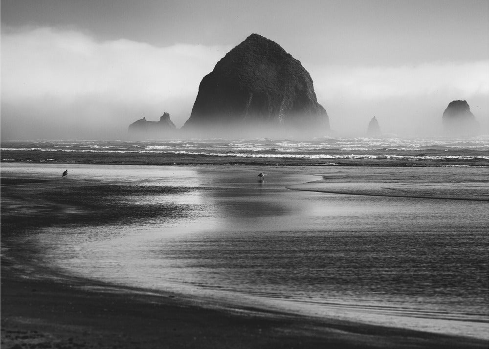 Cannon Beach | Poster