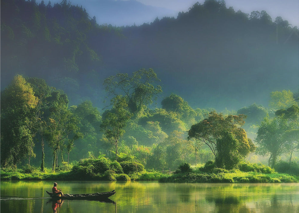 Painting of  Nature | Poster