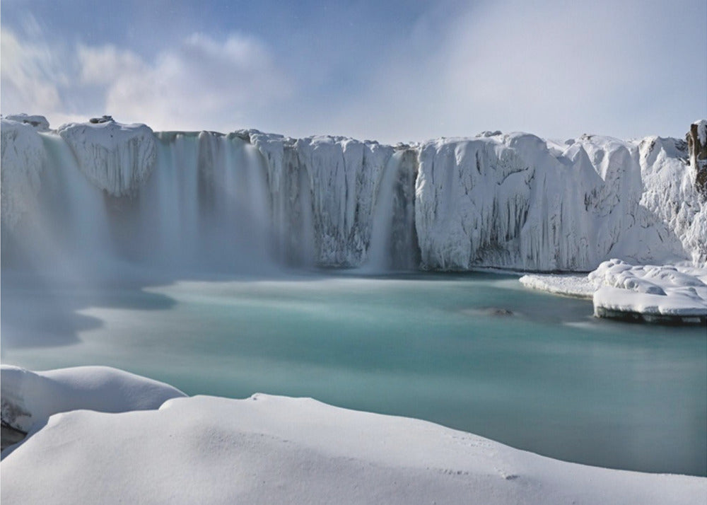 A Dream in the Moonlight | Canvas