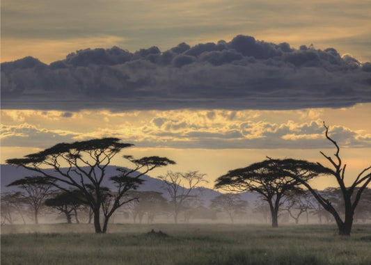 Good evening tanazania | Wallpaper