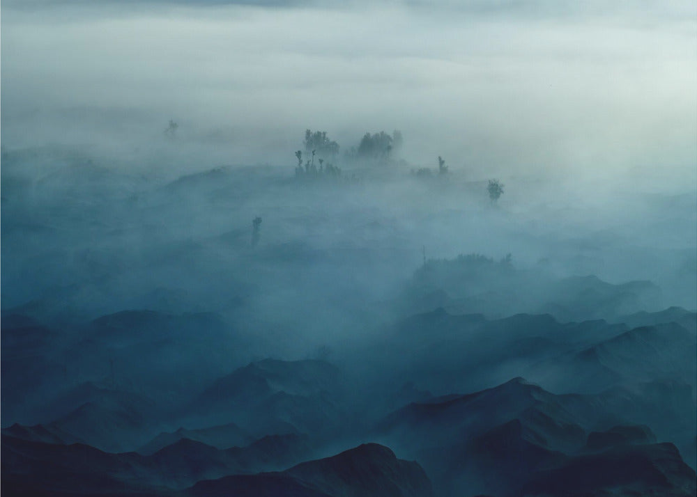 Land of Fog | Poster