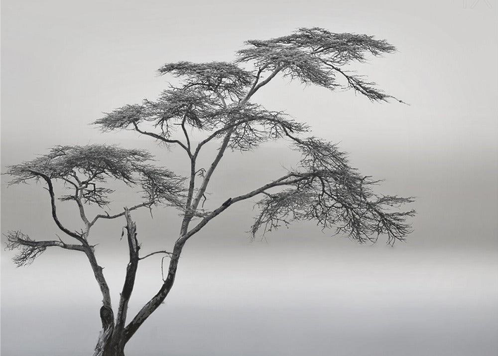 a very long story | Canvas