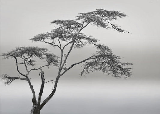 a very long story | Canvas