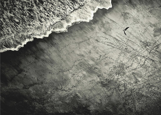 They Are Watching | Poster