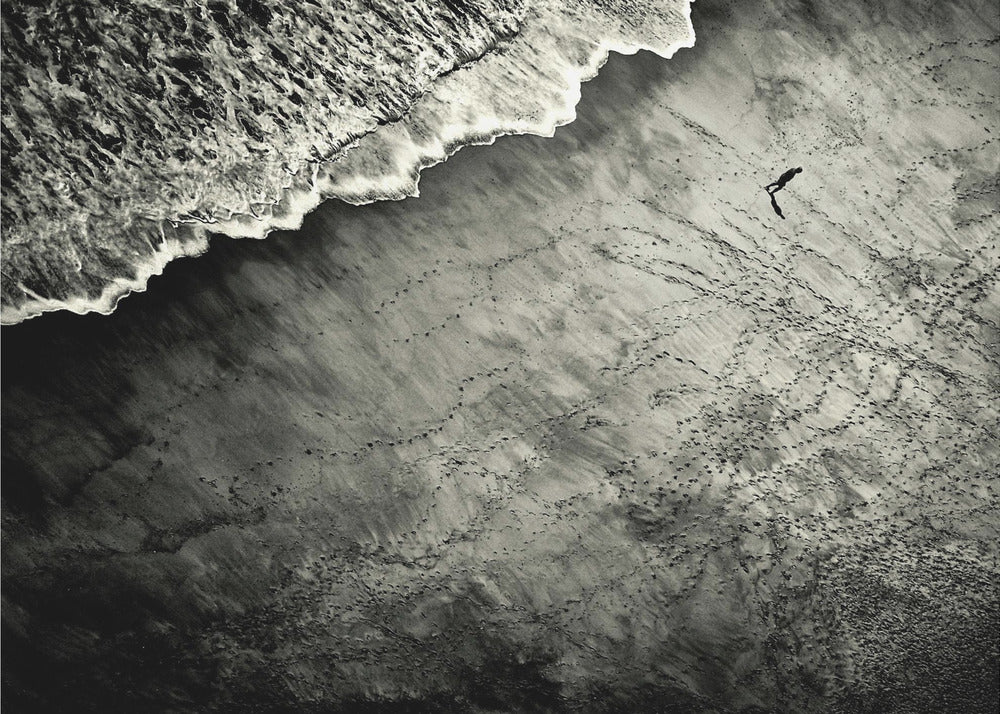 They Are Watching | Canvas