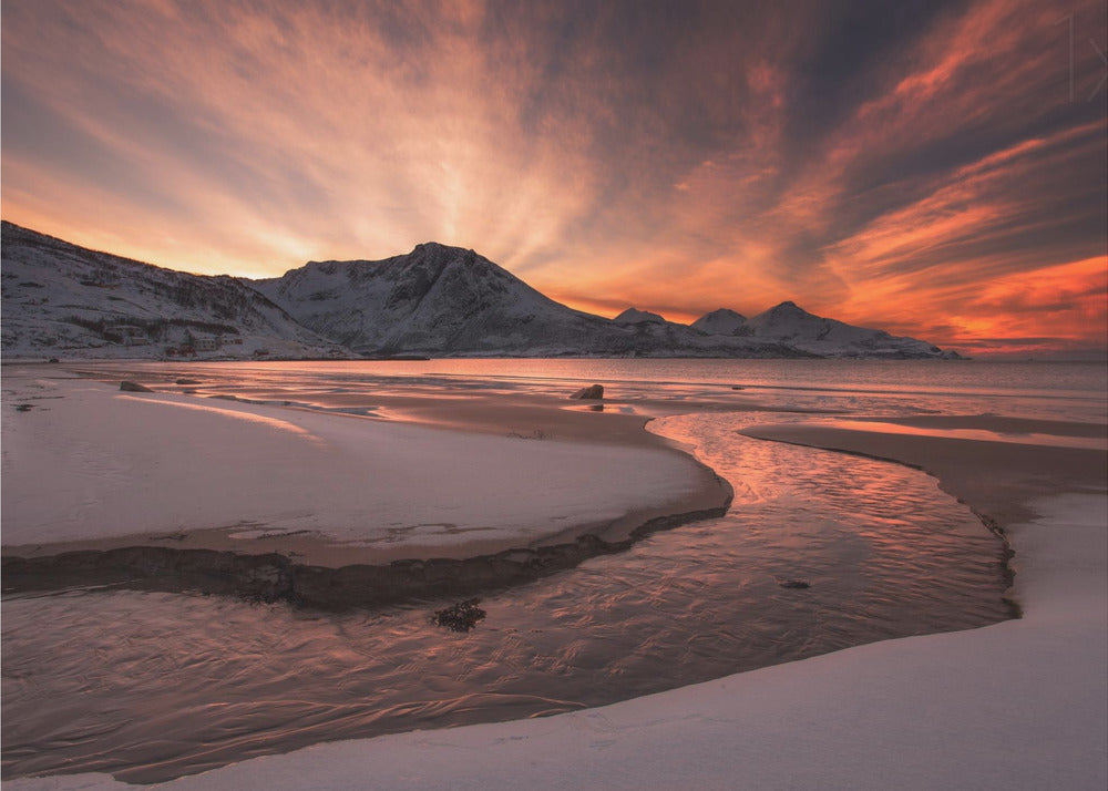 Golden Sunset | Poster