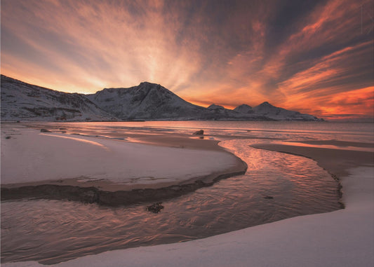 Golden Sunset | Canvas