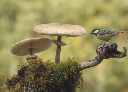 My small part of the world | Canvas