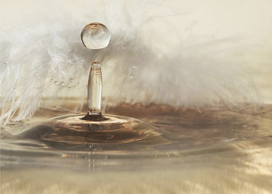 Golden featherdrops | Poster