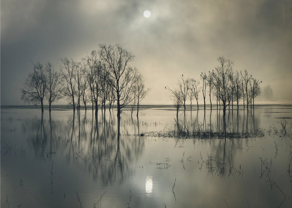 Lake's Secret | Canvas