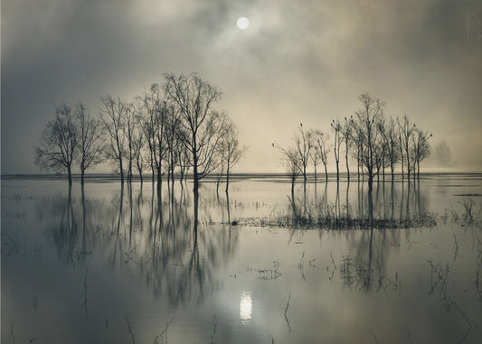 Lake's Secret | Canvas