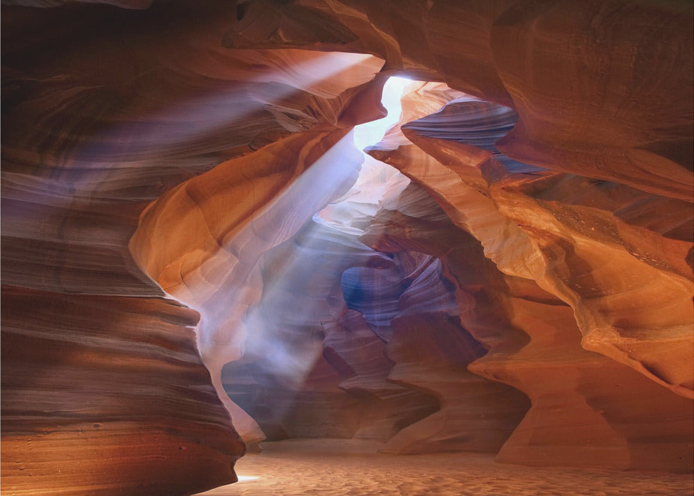 Pure Photodelight  2 | Canvas