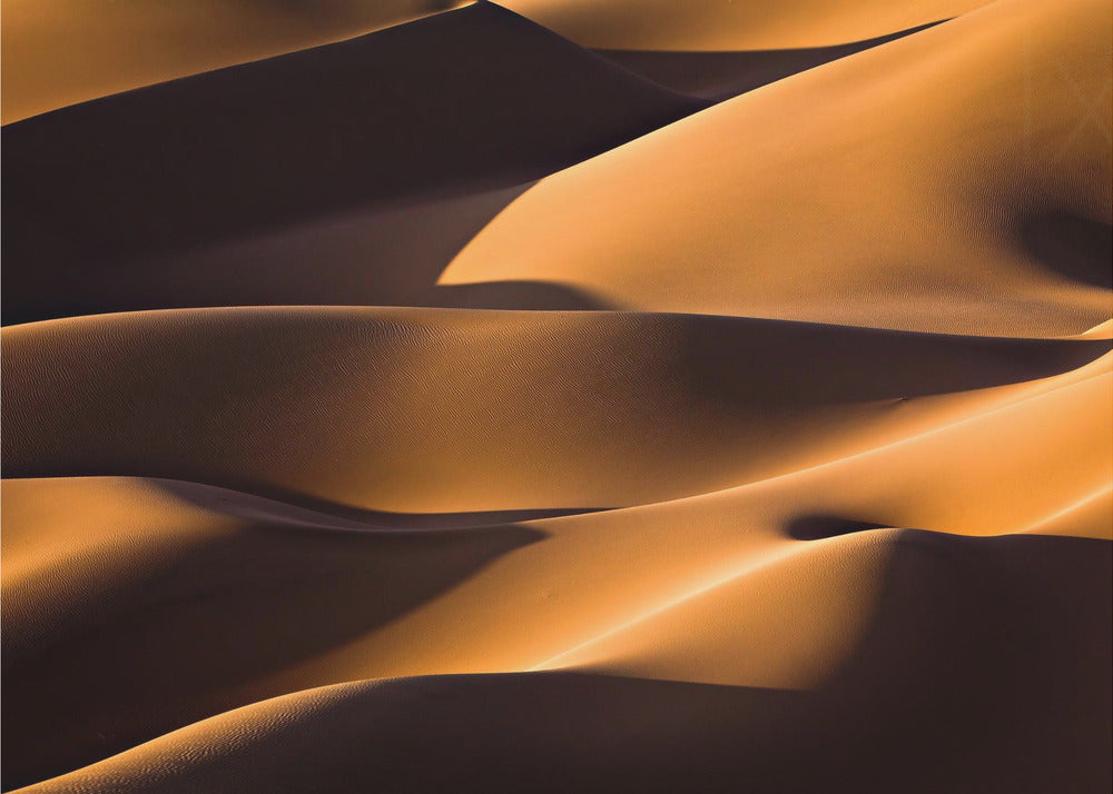 Light and Shadow | Canvas