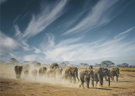 A very long thinking | Poster