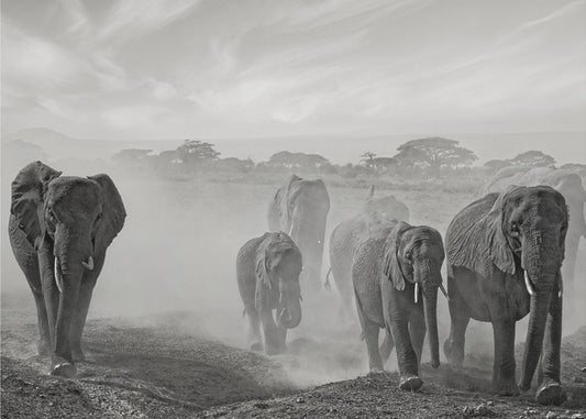 Sequence of emotion | Poster