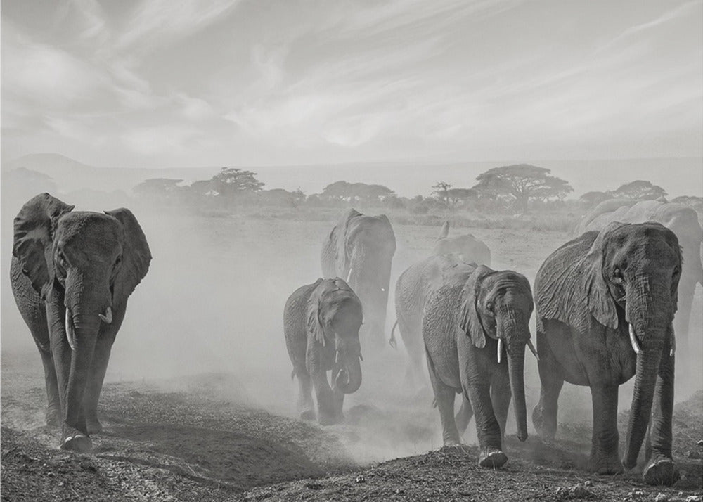 Sequence of emotion | Canvas