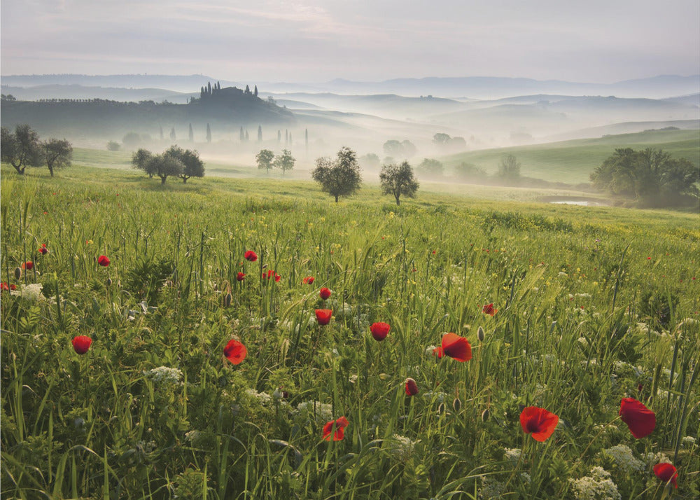 Tuscan spring | Canvas