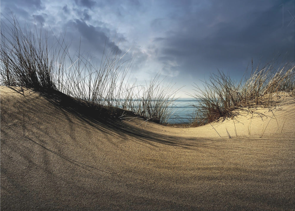 Dunes........... | Wallpaper