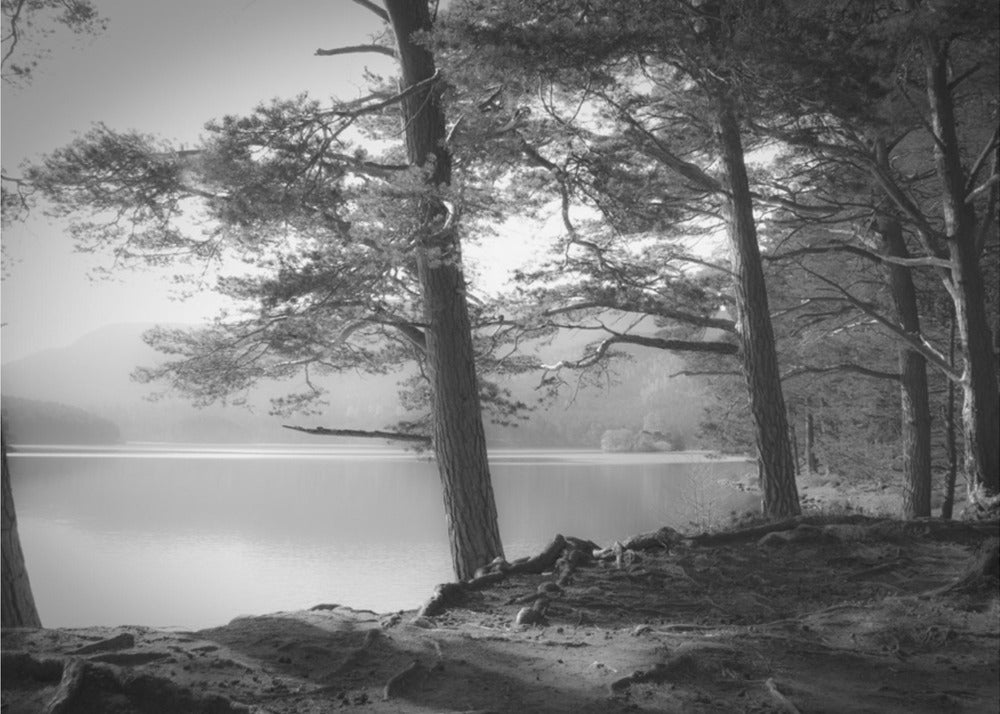 Loch an Eilein | Poster