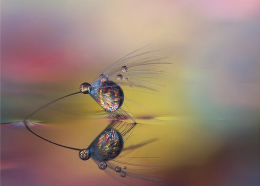 Colorize the darkness | Canvas