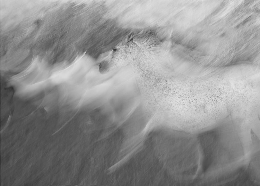 Mystic White | Wallpaper