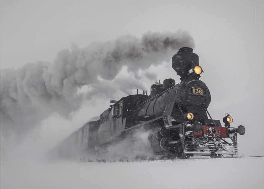 Little-Jumbo | Canvas