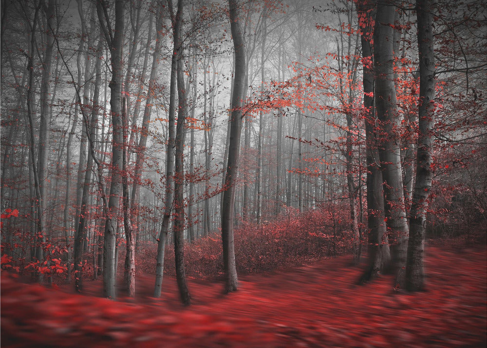 Bloody River | Canvas