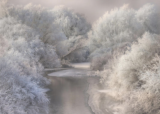 Winter Song | Poster