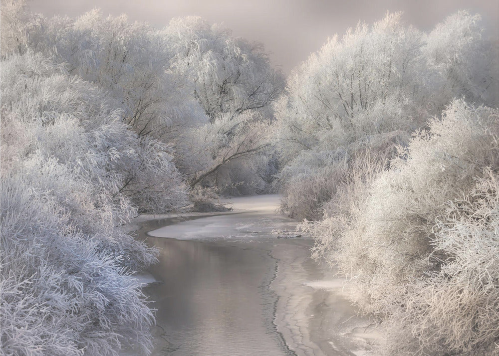 Winter Song | Canvas