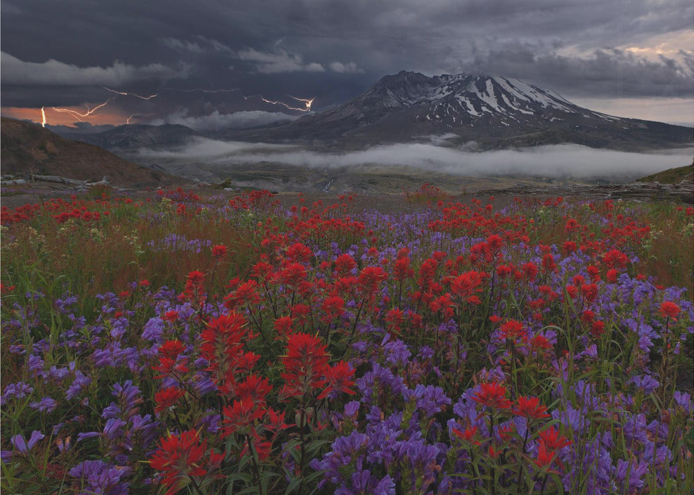 Apocalypse Now | Wallpaper