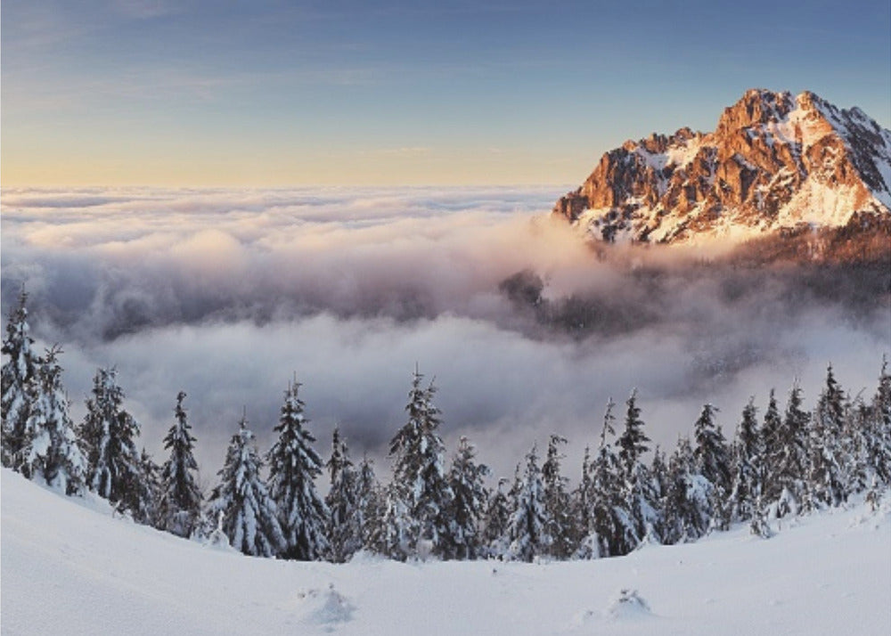 Golden Peak | Canvas