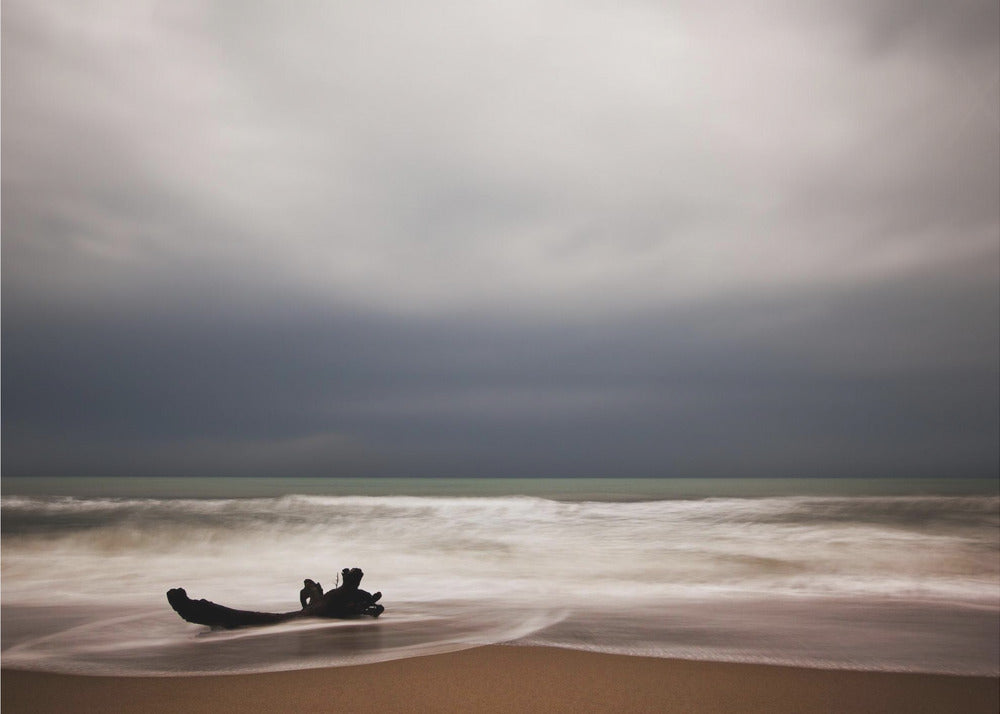 L\&#039;onda | Canvas