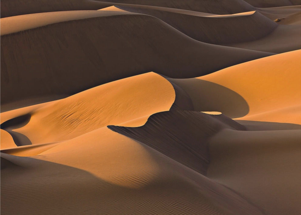 Morning Light | Canvas